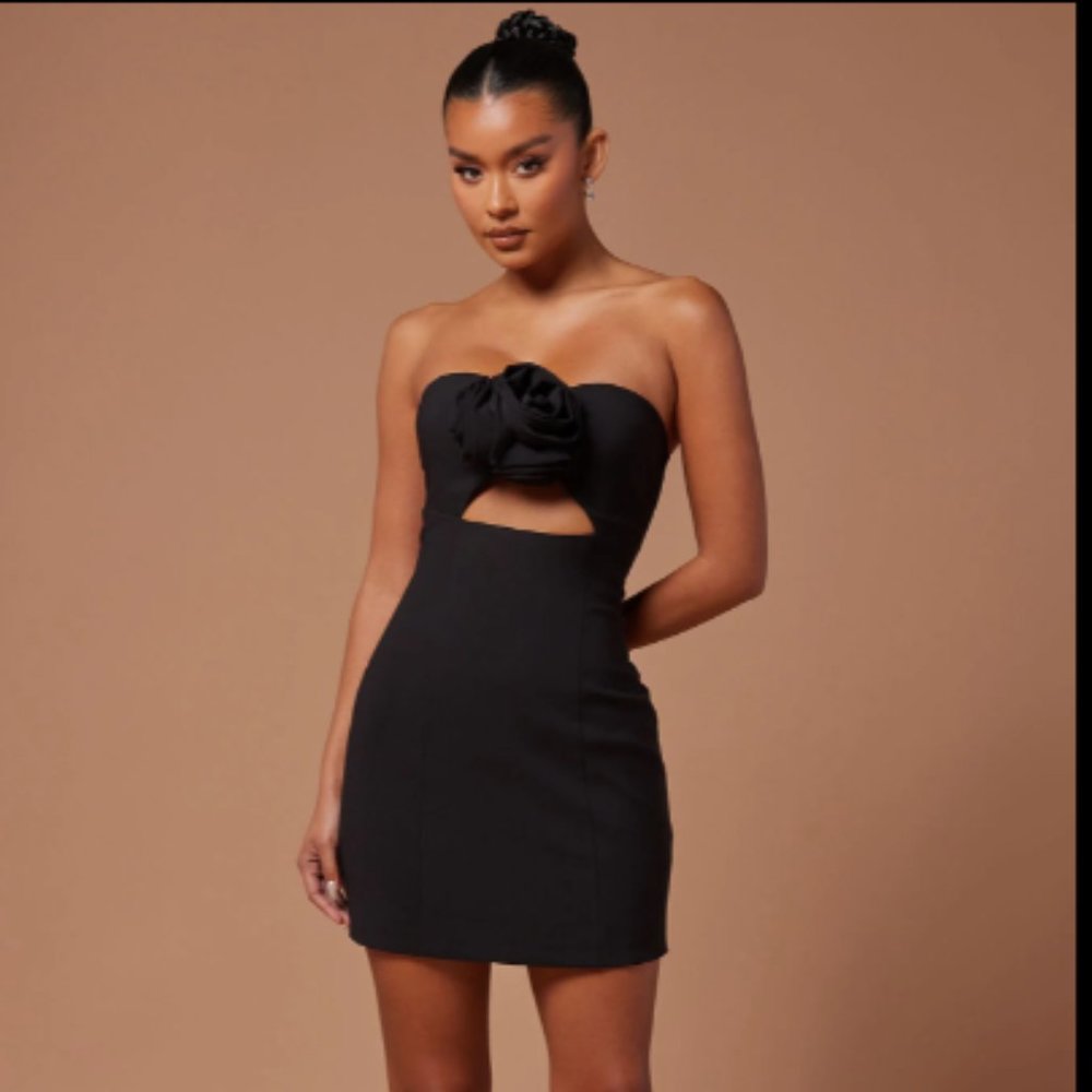Fashion Nova -Sophia Grace Rose Mini Black Dress Size Small